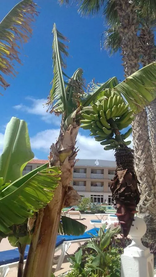 Aparthotel Apartamentos Parque Carolina Costa Del Silencio